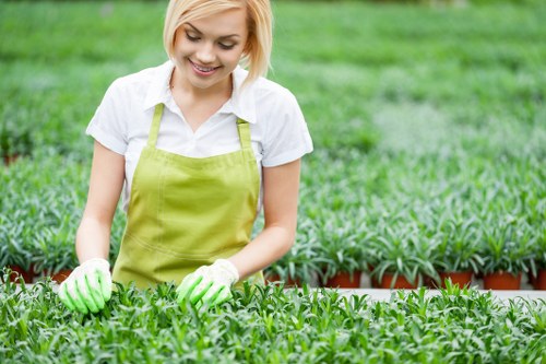 Impact of poor carpet cleaning on home health