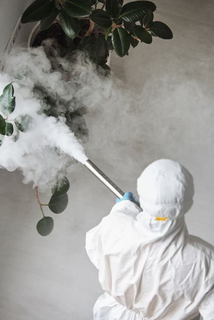 A professional cleaner from carpetcleaningsucks.co.uk wearing a white protective suit and mask is using a steam cleaning machine on a light-colored carpet in a residential living room. The room featur